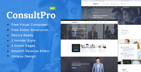 16435584 00 Consultpro Preview Wp. Large Preview