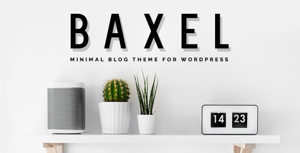 19822209 01 Baxel Preview 2021. Large Preview