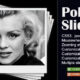 2291636 Polaroid Slider