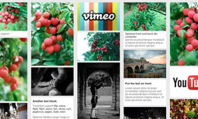 2463876 Preview 590