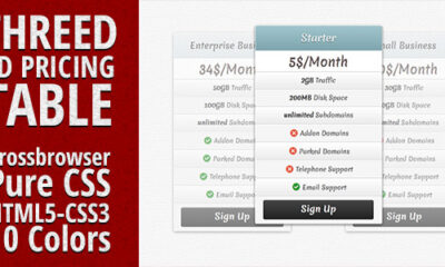 4135938 Banner