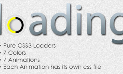 4304418 Inline Preview Image
