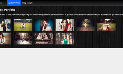 4822267 Preview 590