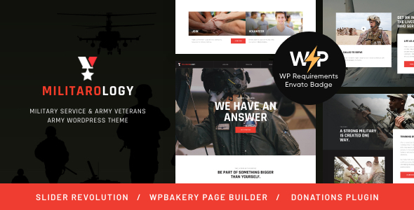 21308332 01 Militarology. Large Preview