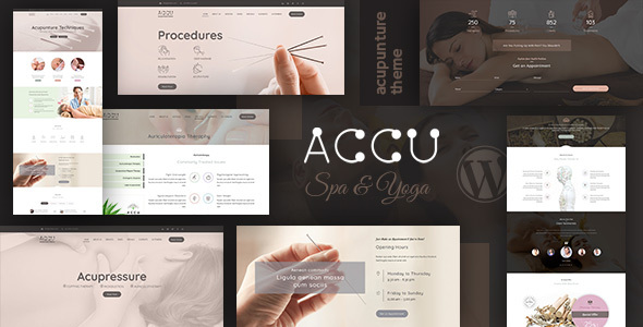 22463381 01 Accu New. Large Preview