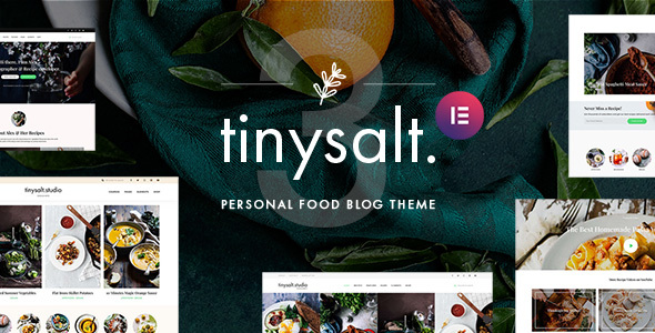TinySalt – Personal Food Blog WordPress Theme Nulled