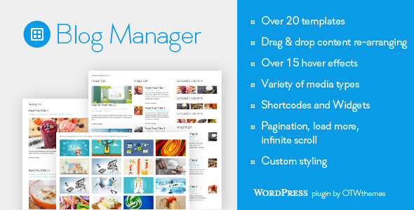 Blog Manager for WordPress — CodeCanyon > WordPress > Utilities preview