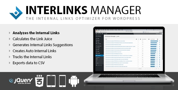 Interlinks Manager Review: WordPress Internal Links