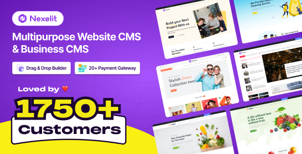 Nexelit Review: Multipurpose CMS for Business